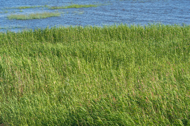 Similar image 21951383