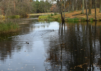 Similar image 21973172