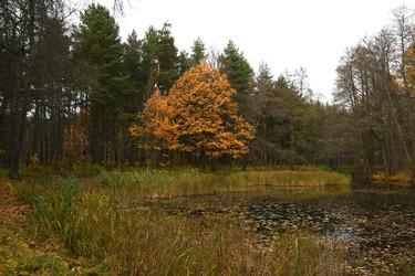 Similar image 21951385