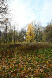 Similar image 21951386