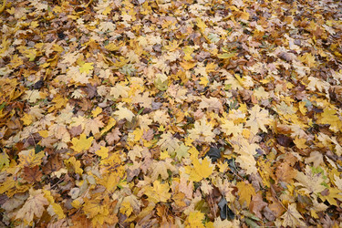 Similar image 21951389