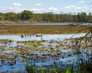 Similar image 21953595