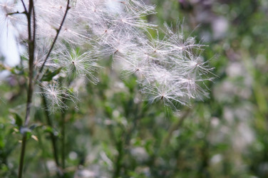 Similar image 21953598