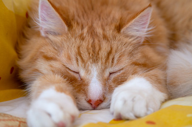 Similar image 21951397