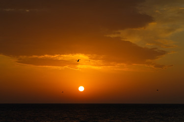 Similar image 21953601