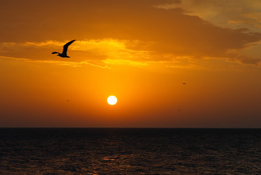 Similar image 21953602