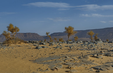 Similar image 21953613