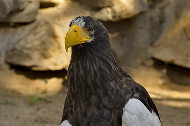 Similar image 21953614