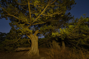 Similar image 21953852