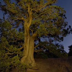 Similar image 21953853