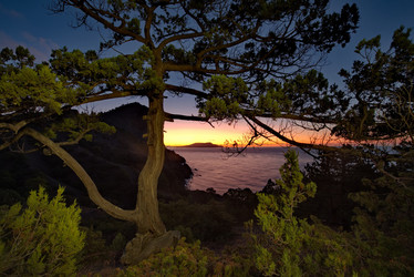 Similar image 21953858