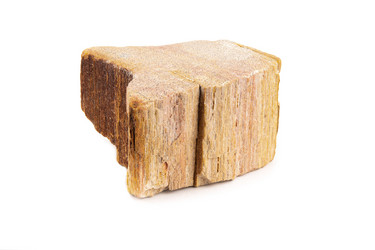 Similar image 21973657