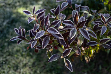 Similar image 21952064