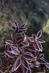 Similar image 21952066