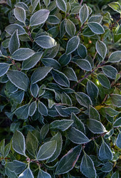 Similar image 21952068