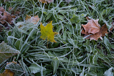 Similar image 21952071