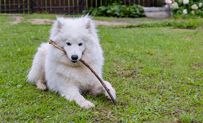 Similar image 21952073