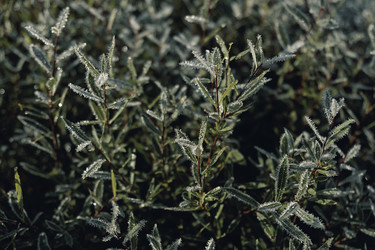 Similar image 21952074