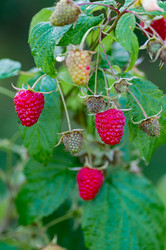 Similar image 21952075