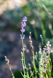 Similar image 21952076