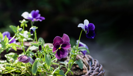 Similar image 21952077