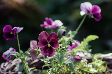 Similar image 21952078