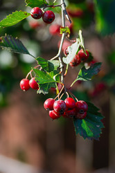 Similar image 21952079