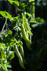 Similar image 21952080