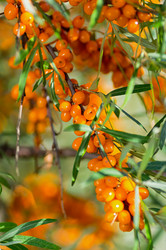 Similar image 21952081