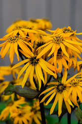 Similar image 21952082