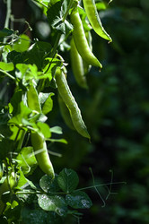 Similar image 21952084