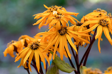 Similar image 21952085