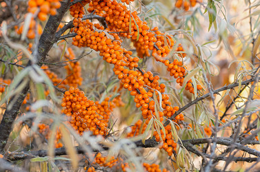 Similar image 21952086