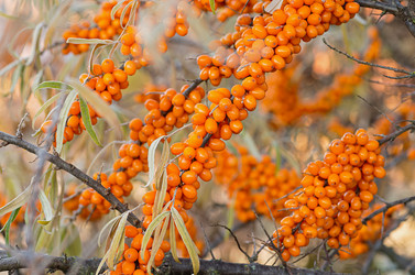 Similar image 21952087