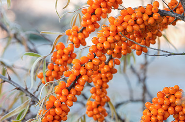 Similar image 21952088