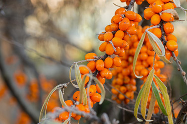 Similar image 21952089