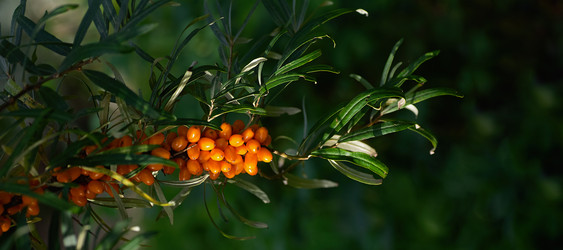 Similar image 21952091