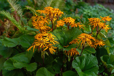 Similar image 21952092