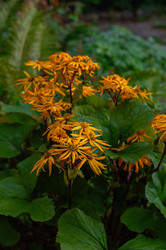 Similar image 21952093