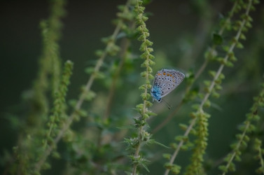 Similar image 21951552