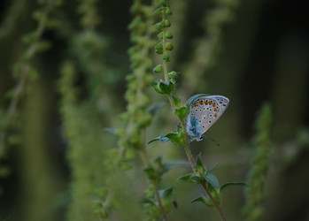 Similar image 21951553