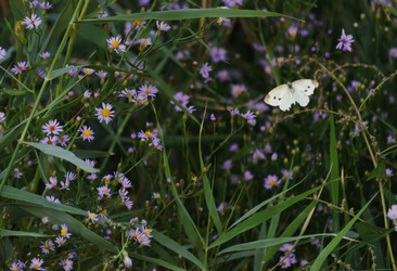 Similar image 21951554