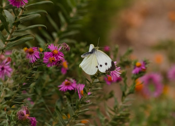 Similar image 21951559