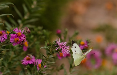 Similar image 21951560