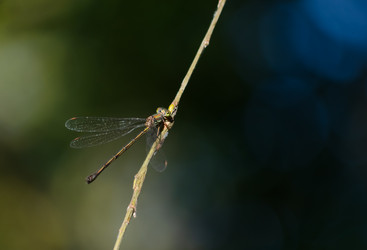 Similar image 21951561