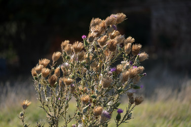 Similar image 21951562