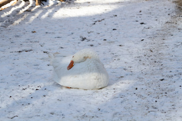 Similar image 21976247