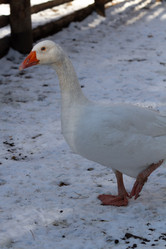 Similar image 21974405