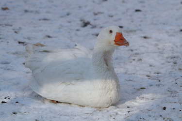 Similar image 21974407