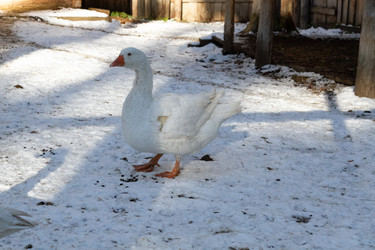 Similar image 21975973